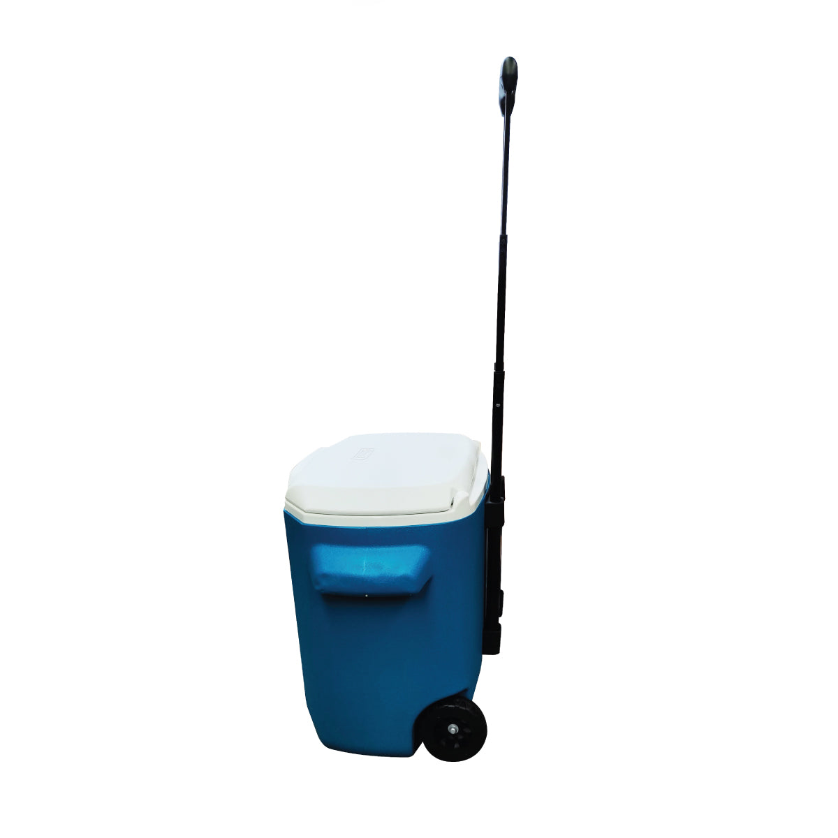 Hielera 28 Qt (26.4 L) Chiller Ocean Azul Coleman 2160822
